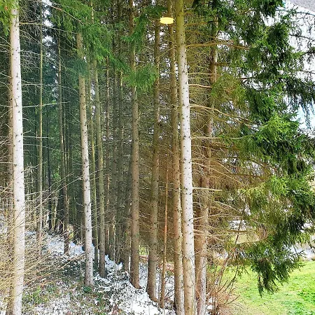 Les Etangs Du Thioux Malmedy