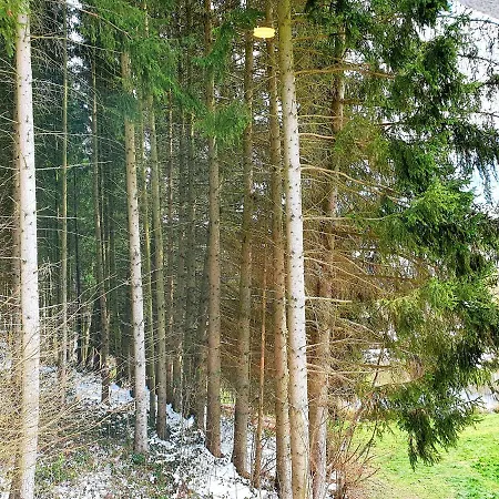 Les Etangs Du Thioux 马尔梅迪